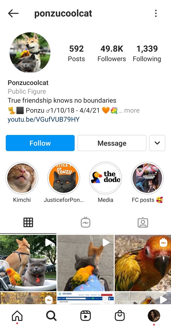 เฌอเอม แหก เชฟรุ้ง