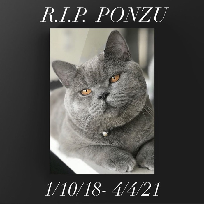 เฌอเอม แหก เชฟรุ้ง