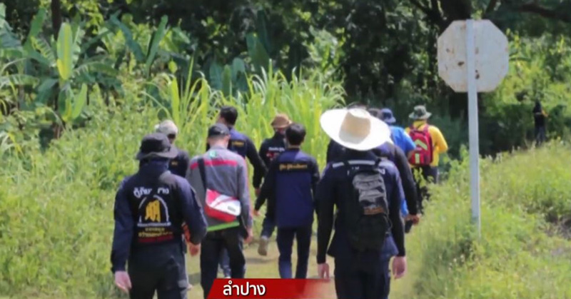 กุเรื่องหลงป่า