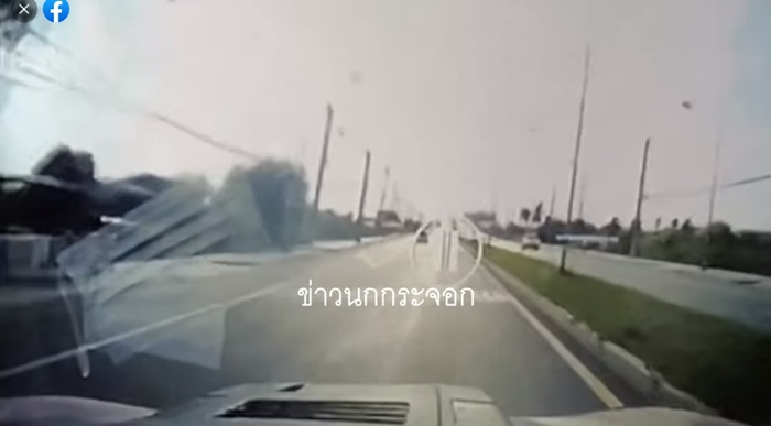 กระบะชนคนทำถนน