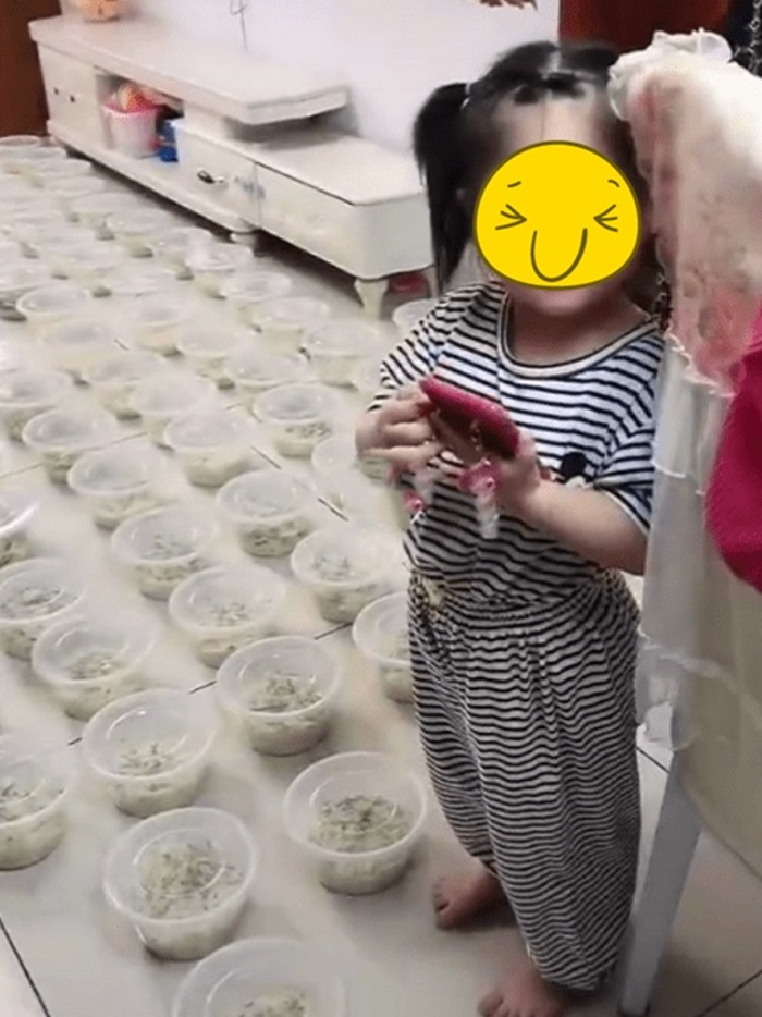 หนูน้อยสั่งบะหมี่ 100 ชาม