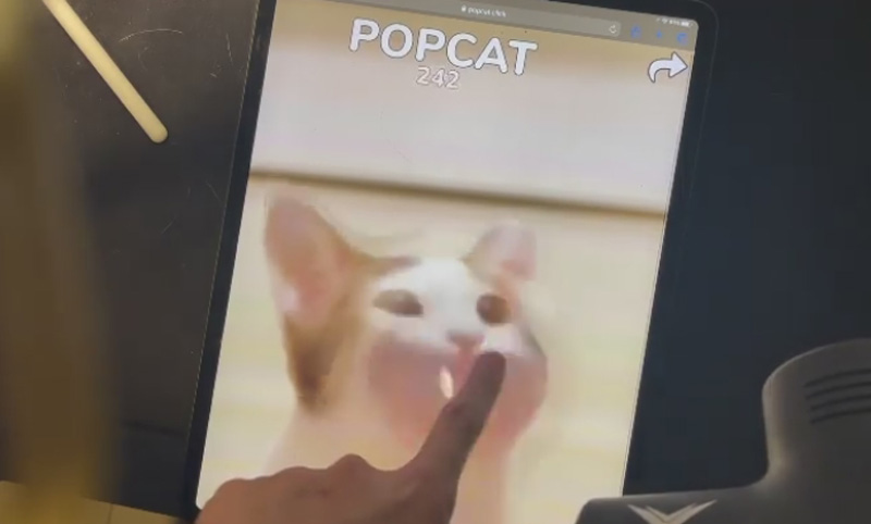 Popcat 