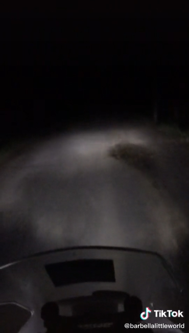 ไรเดอร์ส่งอาหาร