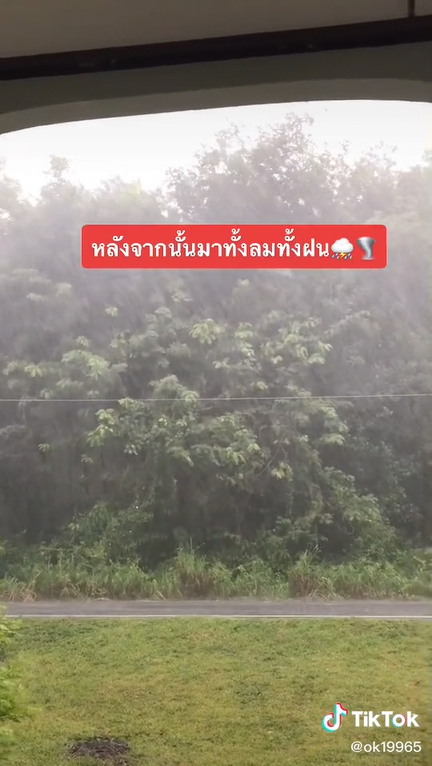 พายุงวงช้าง