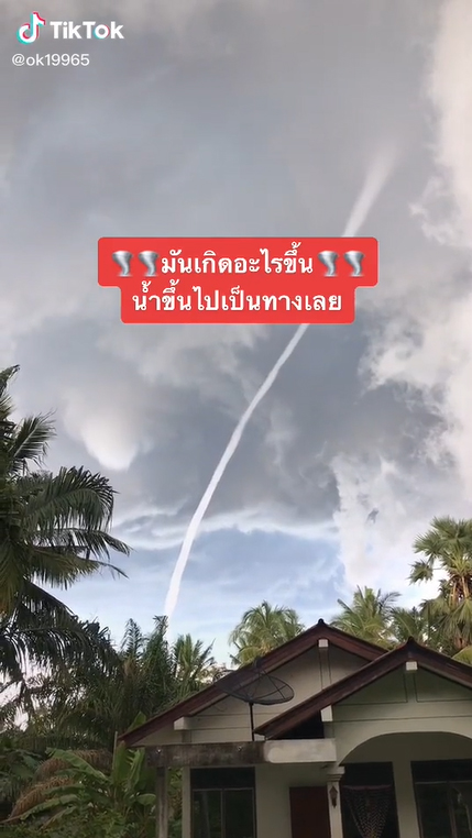 พายุงวงช้าง