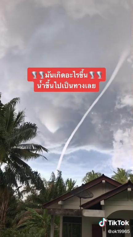 พายุงวงช้าง