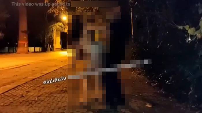 คลิปเซ็กส์หนุ่มสาวใต้ต้นยาง