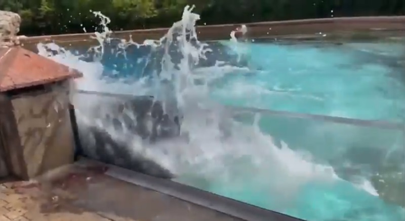 วาฬเพชฌฆาต