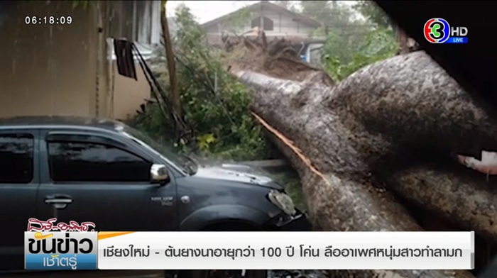 คลิปเซ็กส์หนุ่มสาวใต้ต้นยาง