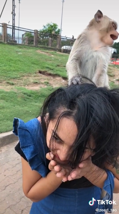 ลิงทำร้ายคน