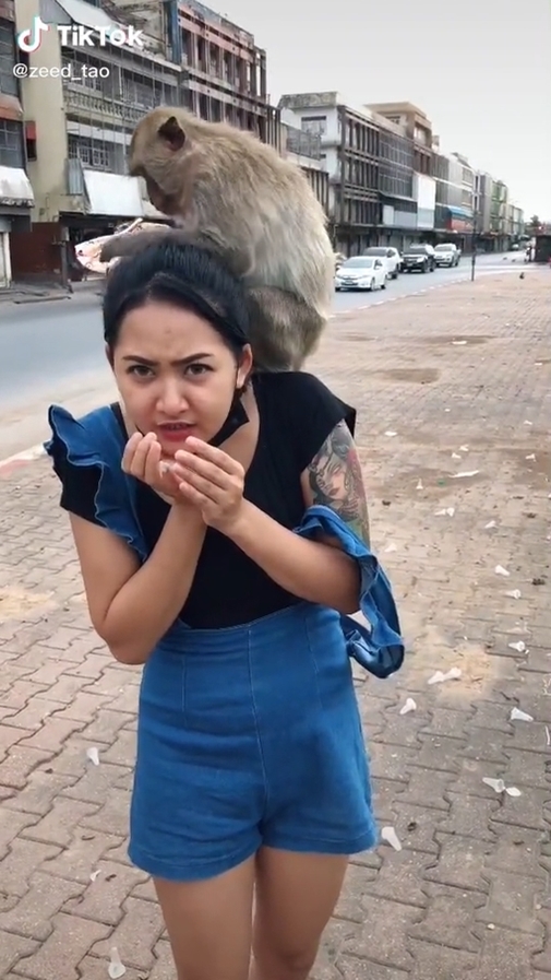 ลิงทำร้ายคน