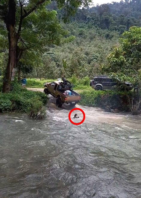 ตกท้ายรถ