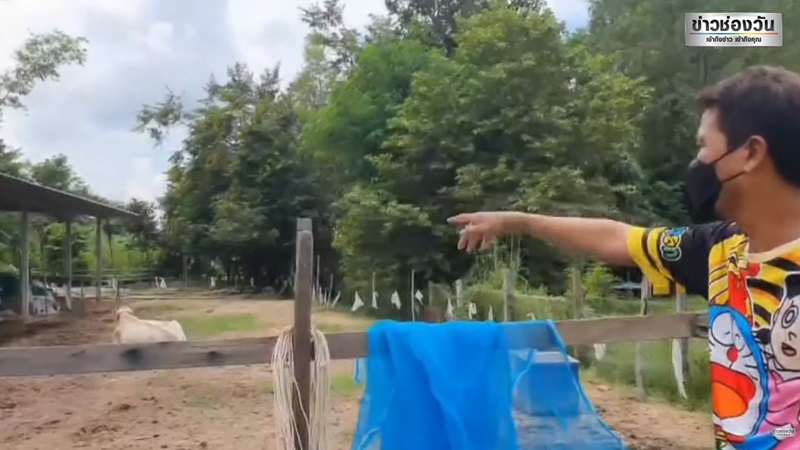 แสงประหลาด