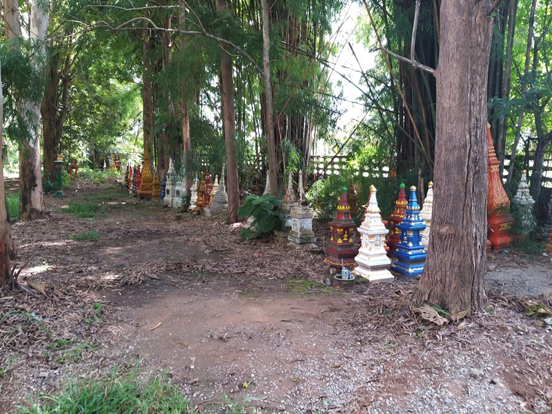 ป่าช้าแดนซ์