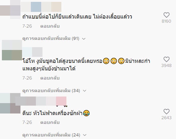 งูเลื้อยบนกำแพง
