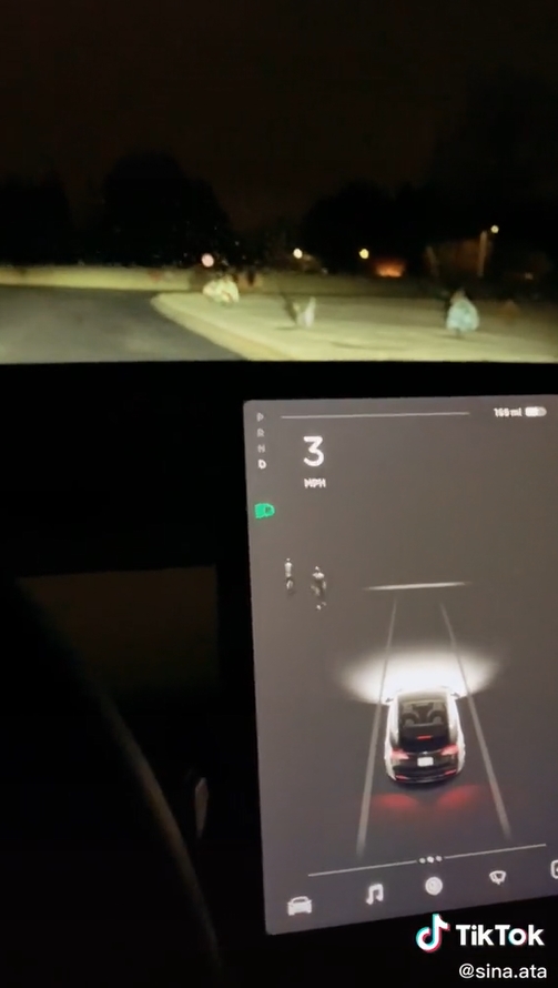 Tesla เห็นผี