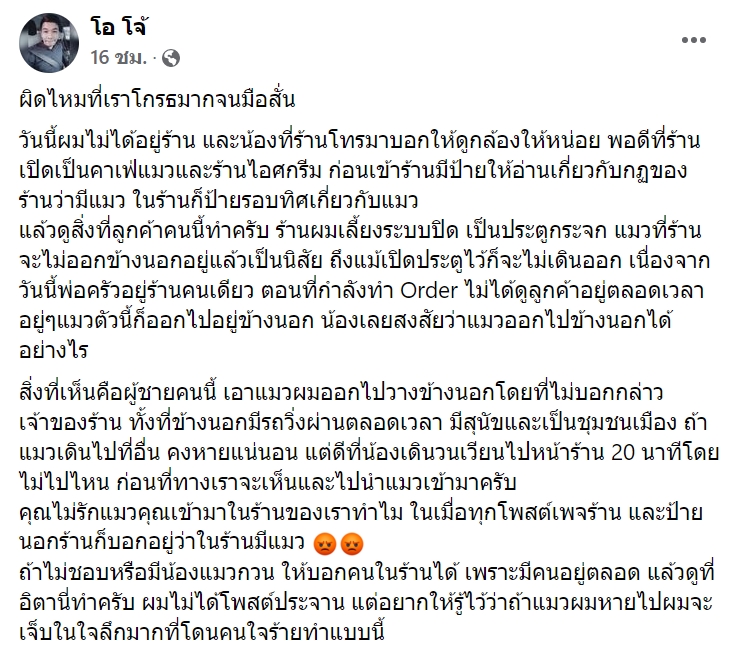 ดราม่าคาเฟ่แมว