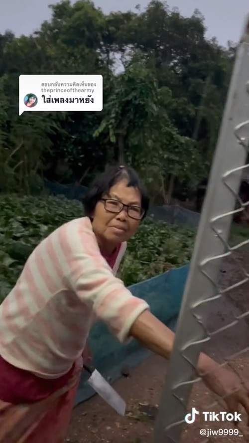 ลูกแกล้งอำแม่