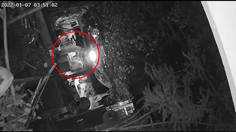 พระช่วยสีกาทำงาน