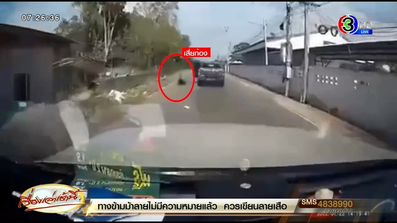 เสี่ยใหญ่ตกรถดับ