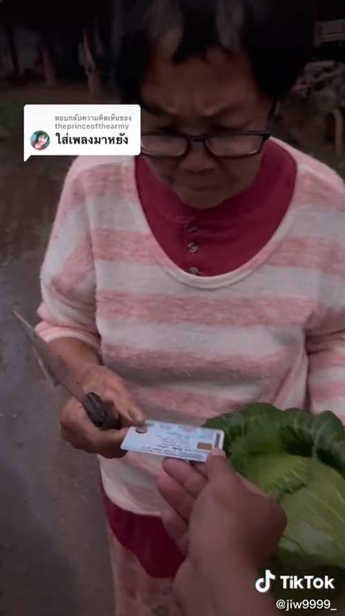 ลูกแกล้งอำแม่