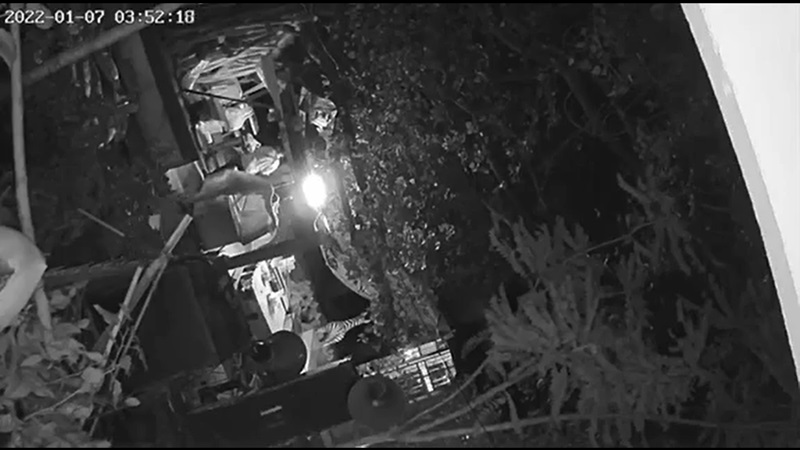 พระช่วยสีกาทำงาน