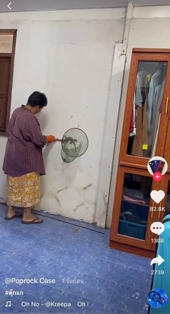 แม่จับตุ๊กแก