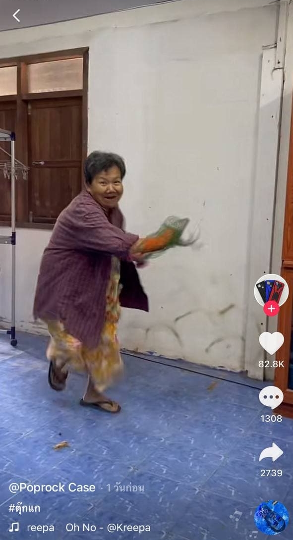 แม่จับตุ๊กแก