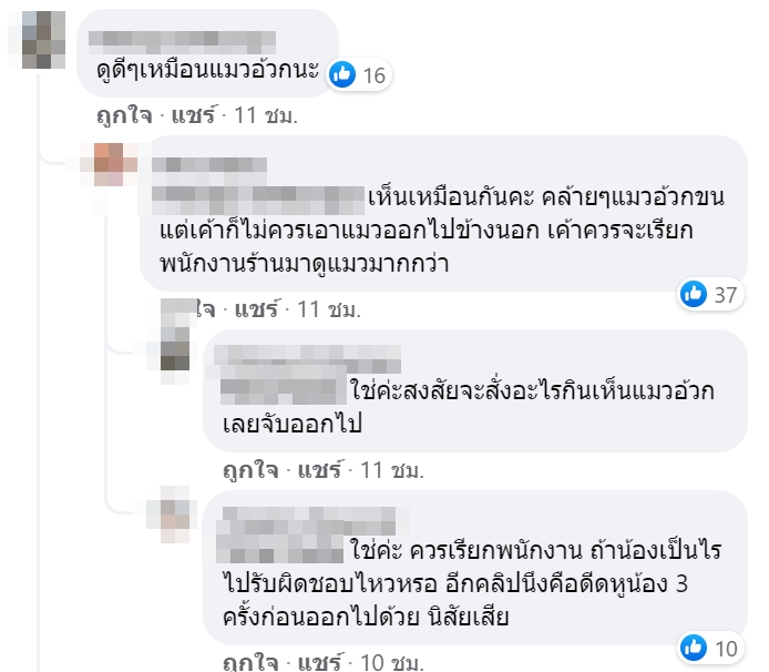 ดราม่าคาเฟ่แมว