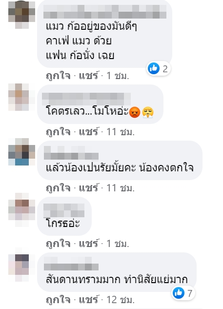 ดราม่าคาเฟ่แมว