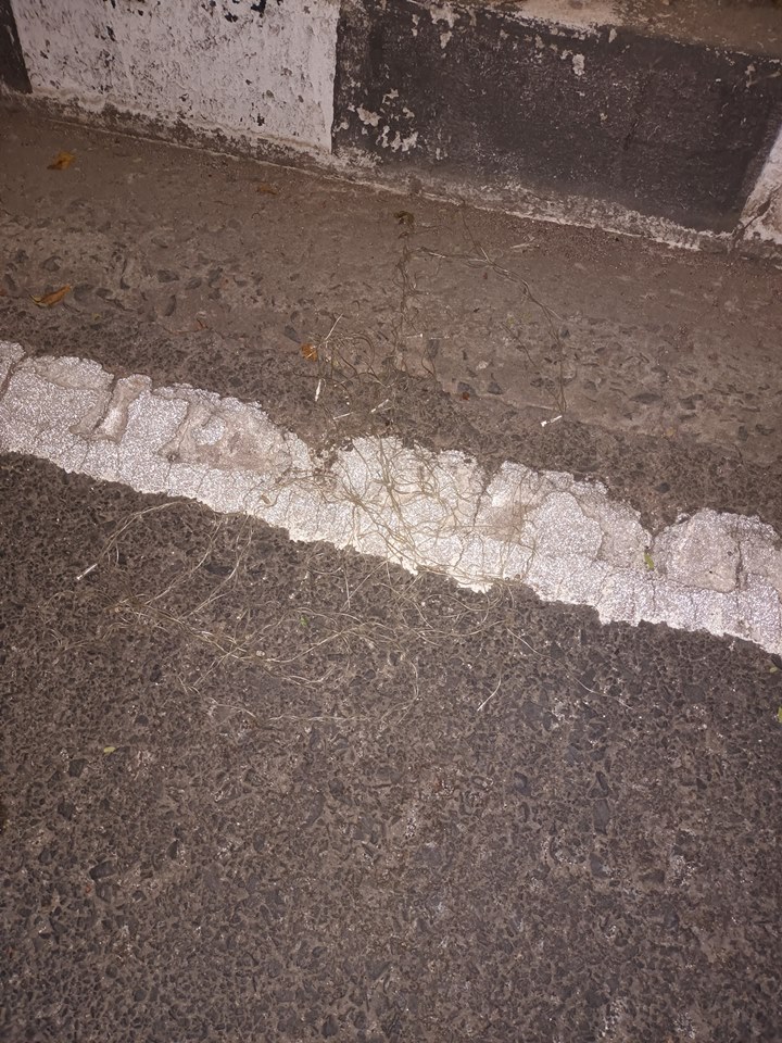 ไฟประดับฟาดตา