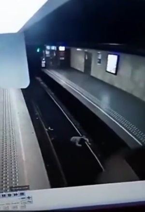 ผลักผู้หญิงตกรางรถไฟ