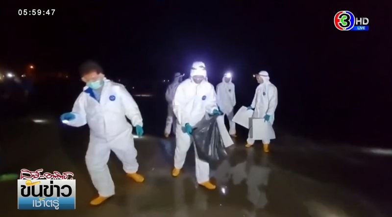 คราบน้ำมัน หาดแม่รำพึง