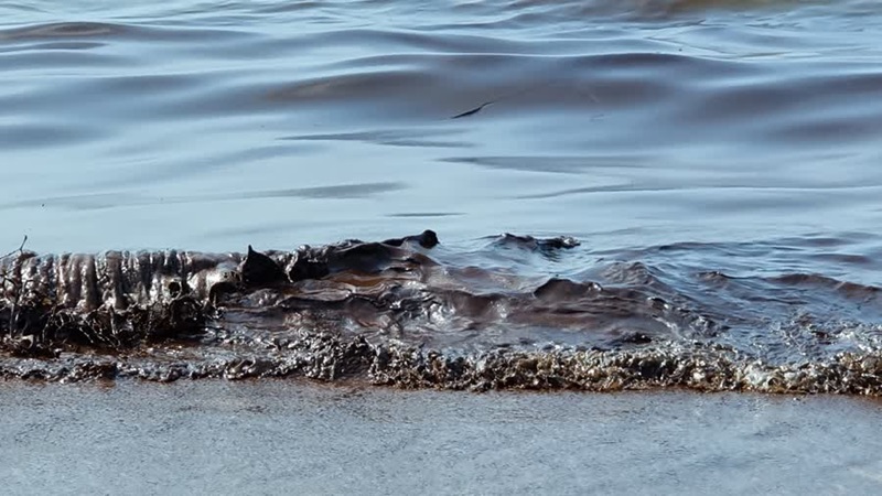 คราบน้ำมัน หาดแม่รำพึง