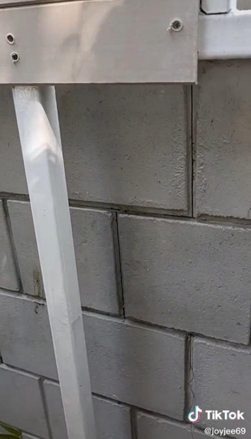 จอย ชุติมณฑ์