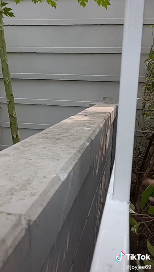 จอย ชุติมณฑ์