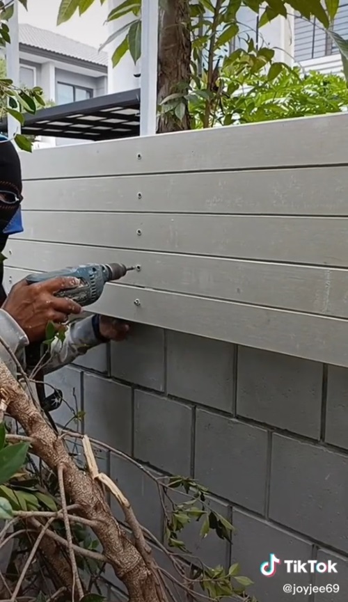 จอย ชุติมณฑ์