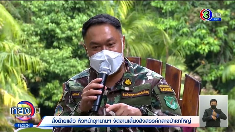 โคโยตี้เขาใหญ่