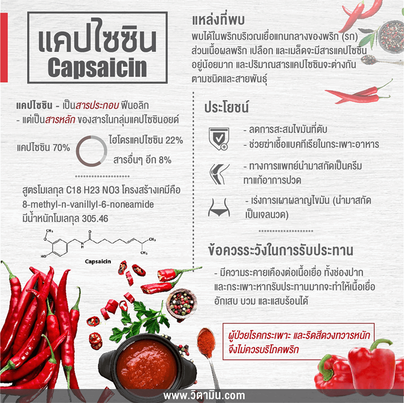 ปลาหมึกชอต