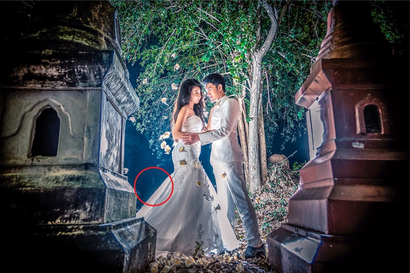 พรีเวดดิ้งในป่าช้า