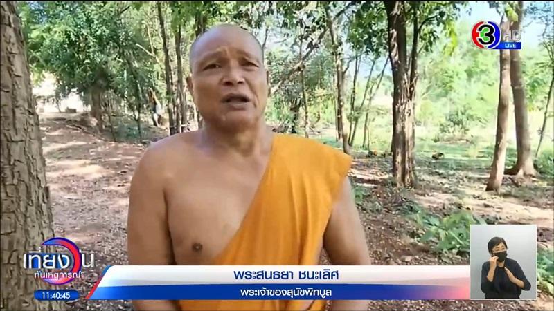 พิตบูลหลุดเข้าบ้าน