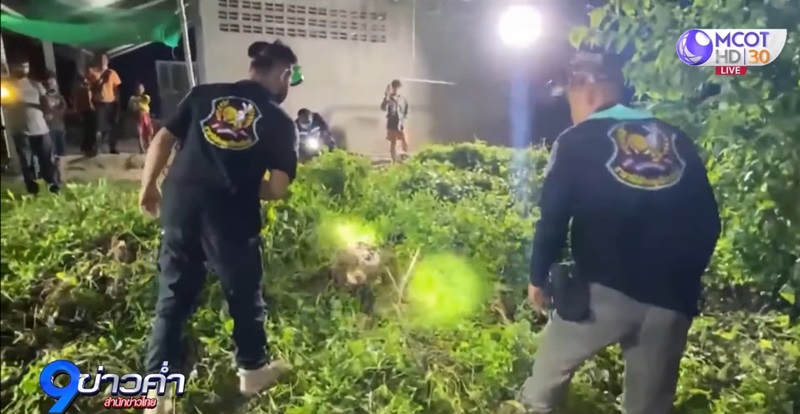 งูจงอาง