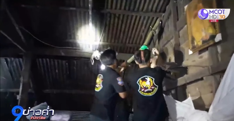 งูจงอาง