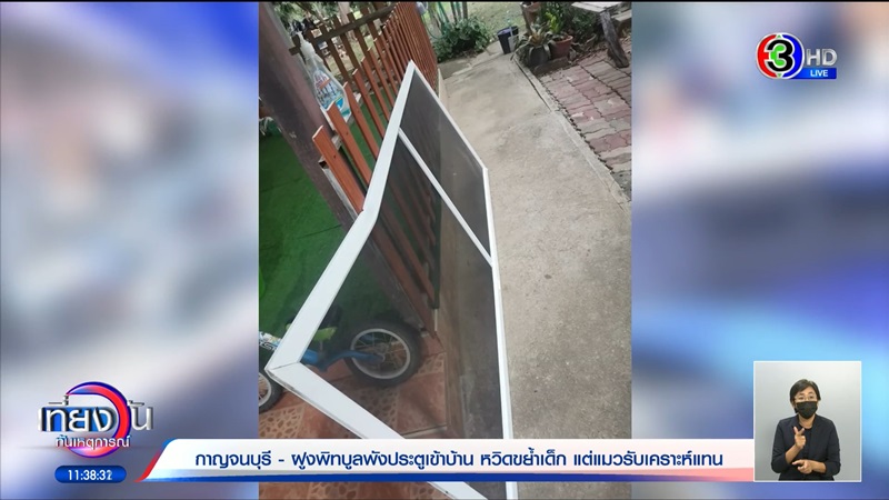 พิตบูลหลุดเข้าบ้าน