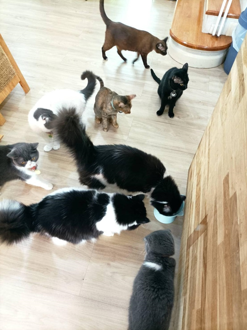 เพจทูนหัวของบ่าว