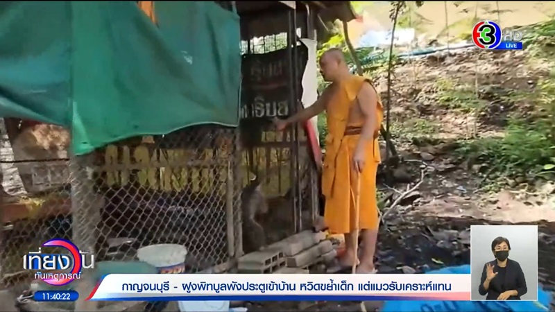 พิตบูลหลุดเข้าบ้าน