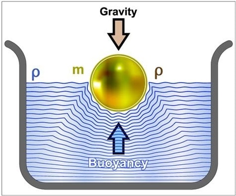 นอนบนเสื่อลอยน้ำ