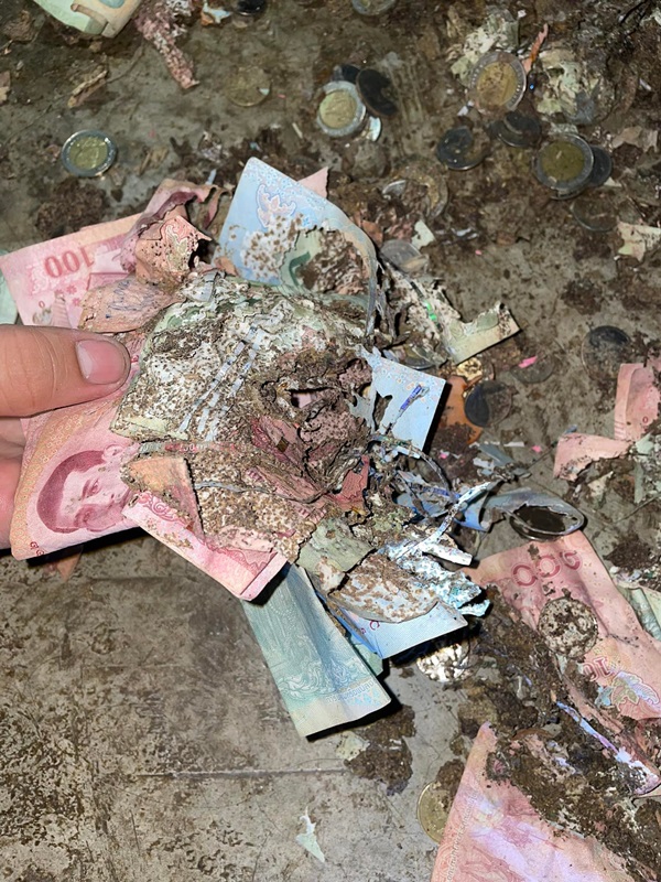 ปลวกกินเงิน