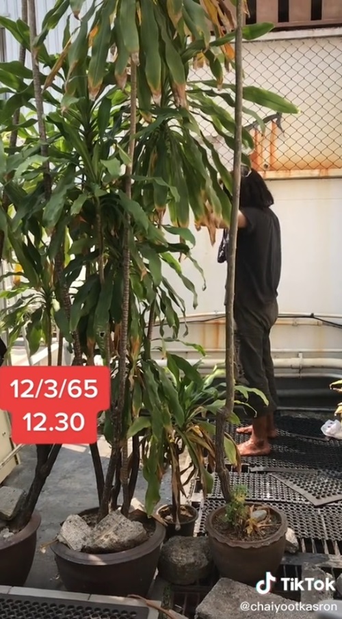 คนเร่ร่อน