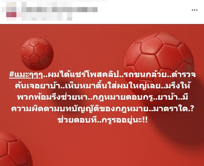 รถขนกล้วยซุกยาบ้า